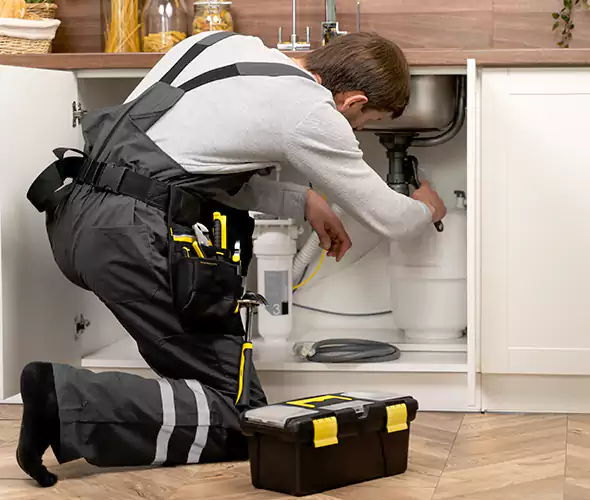 Certified Plumbers for Insinkerator Installation in Duluth