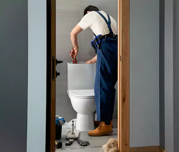 Professional Plumbers for Toilet Bowl Replacement in Duluth, GA: Schedule Affordable Toilet Replacement Services With Us