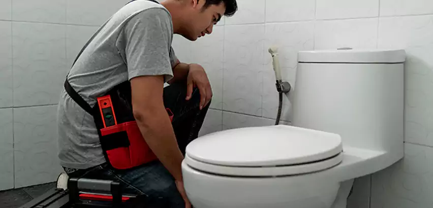 Toilet Repair in Duluth
