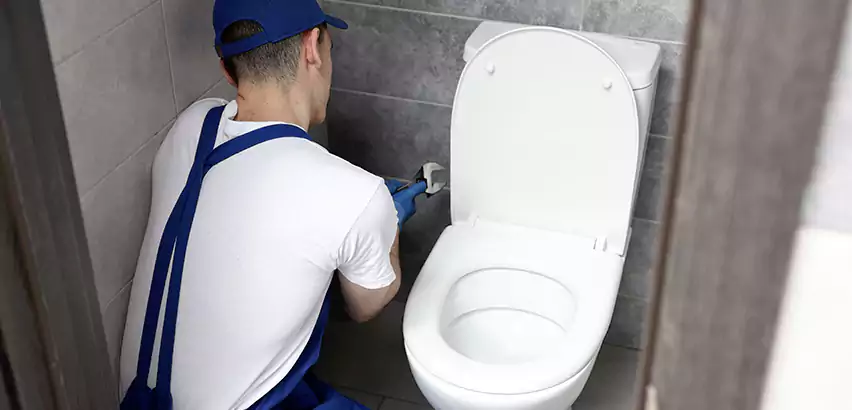 Toilet Lid Replacement in Duluth