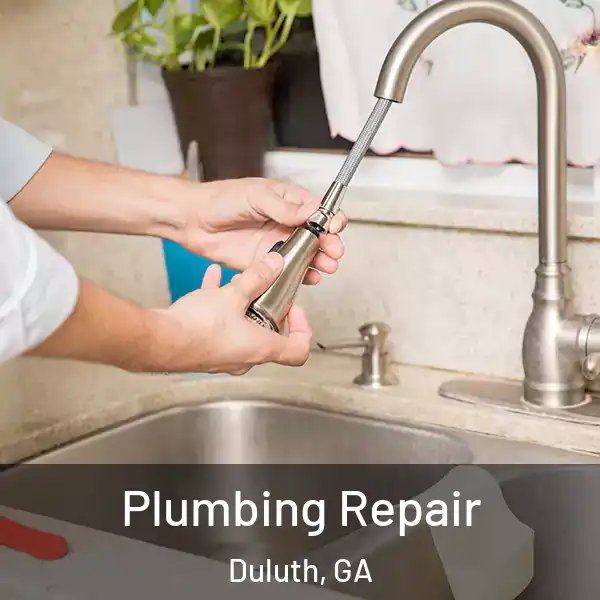  Plumbing Repair Duluth, GA