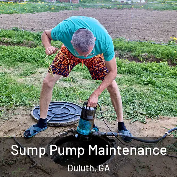 Sump Pump Maintenance Duluth, GA